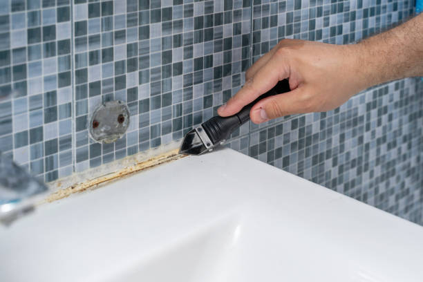 Best Mold Remediation for Specific Building Types in Sarand, AL